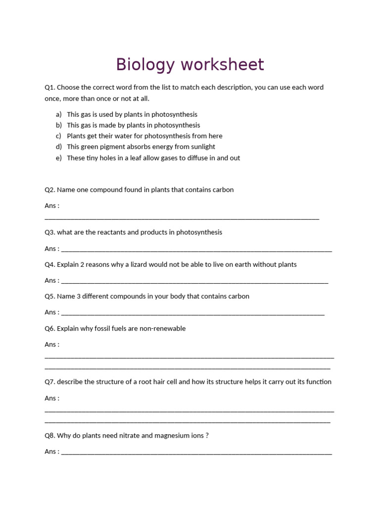 Biology Worksheet on Photosynthesis and Plants | PDF