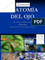 Anatomía Del Ojo