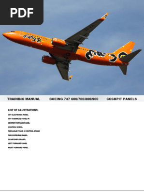 Boeing 737NG Cockpit Panels Manual | PDF | Boeing | Aviation
