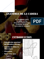 anatomiadelacadera-101212155810-phpapp02