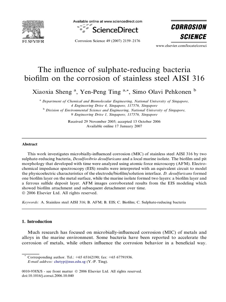 Sulphate-Reducing Bacteria and Steel Corrosion | PDF | Corrosion ...