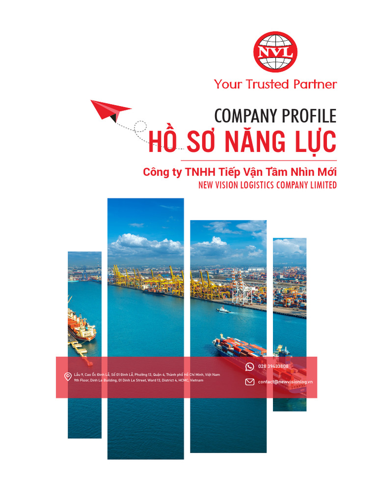 New Vision Profile | PDF