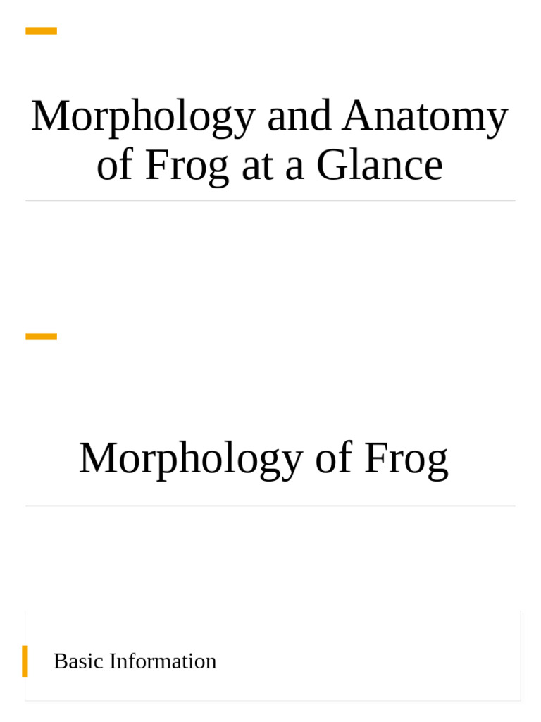 Anatomy and Morphology of Frogs | PDF | Respiratory System | Pancreas