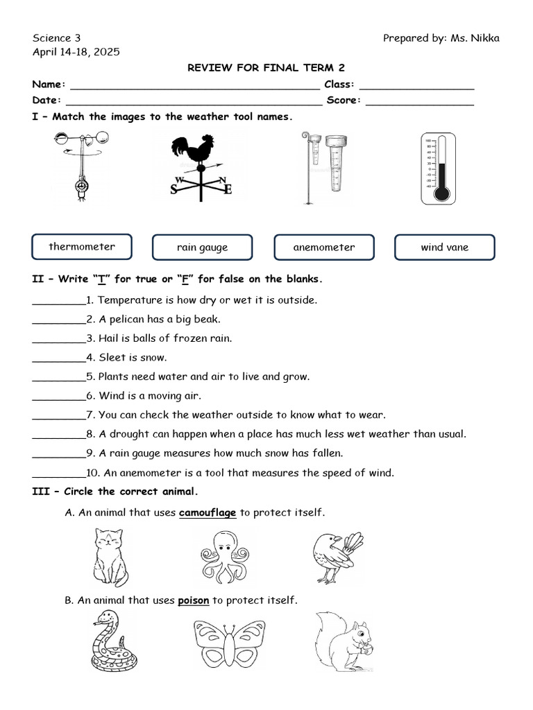 Final Term 2 Review Handout For Science Movers 1 | PDF | Rain | Wound