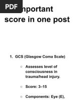 Calculating CHESS Scale Scores | PDF | Geriatrics | Medical Specialties