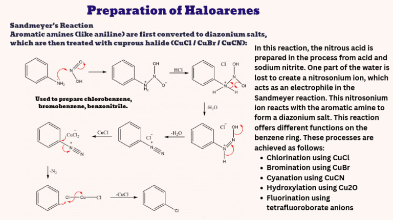 CH 6 Haloarenes Lecture 3 Advanced Detailed Study of Haloarenes | PDF