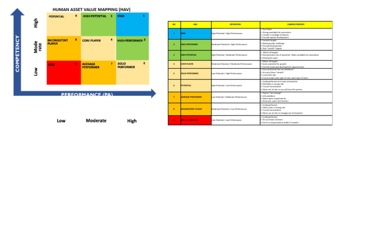 Human Asset Value Mapping Overview | PDF