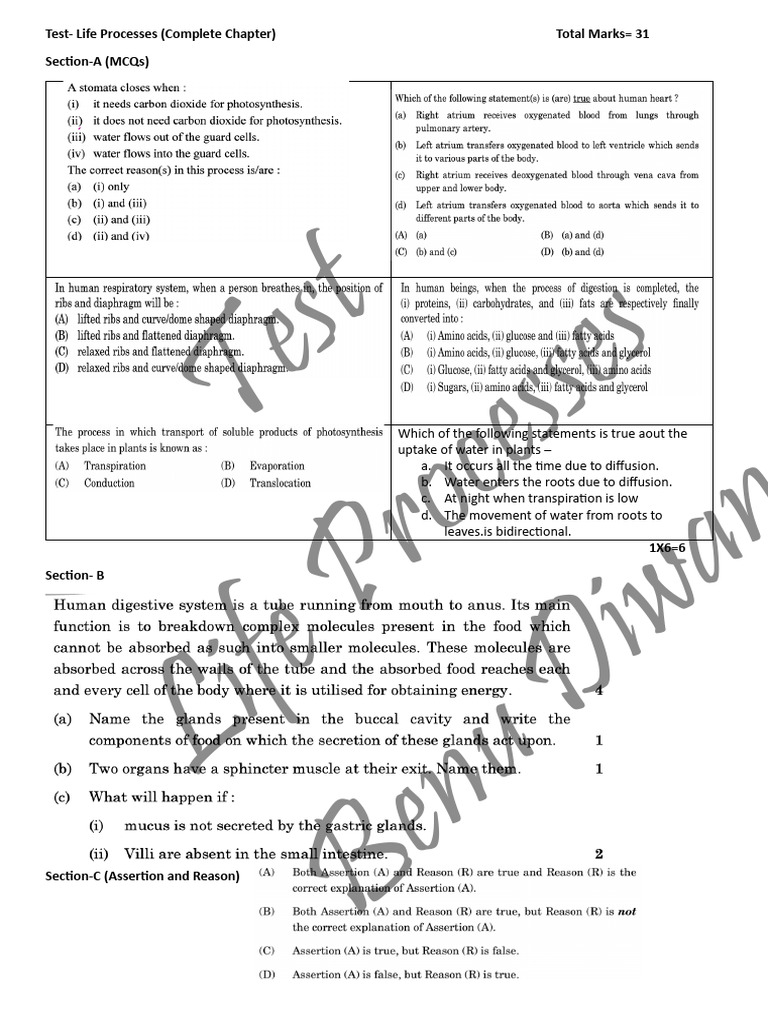 Life Processes Test Questions and Answers | PDF | Lymph | Root