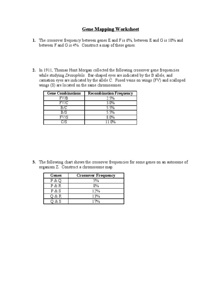 Gene Mapping Worksheet | Genetic Linkage | Gene