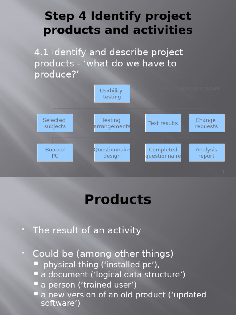 Project Product Identification Guide | PDF | Risk | Computing