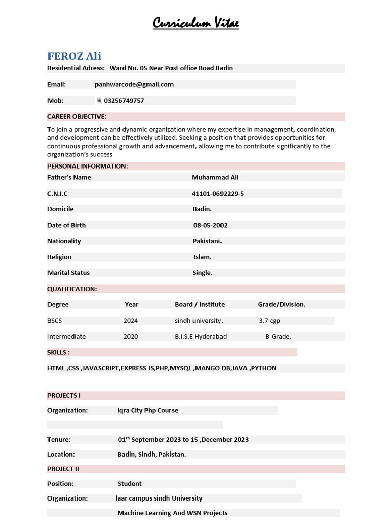 Feroz Riaz: Pakistani National CV | PDF