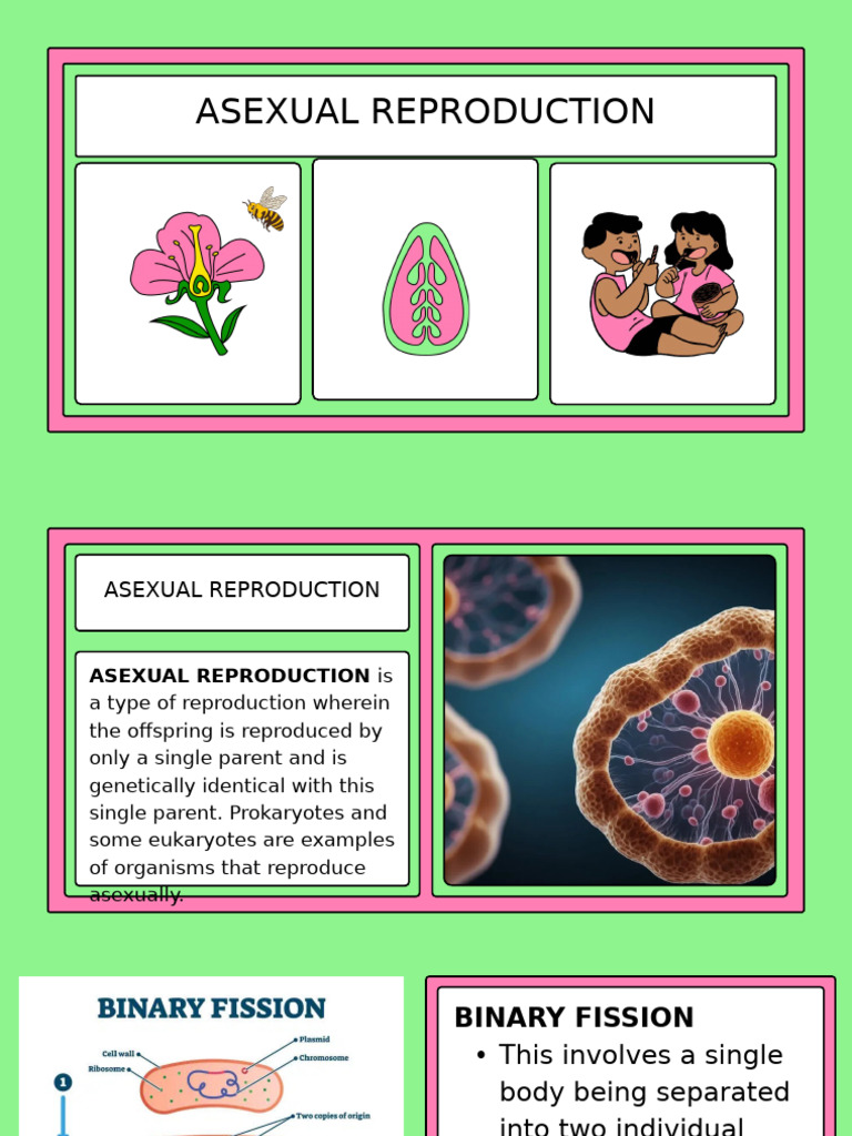 Asexual Reproduction Explained | PDF | Reproduction | Sexual Reproduction