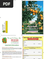 Download Citrus and Peach Schedule by Shawn Hall SN88705209 doc pdf