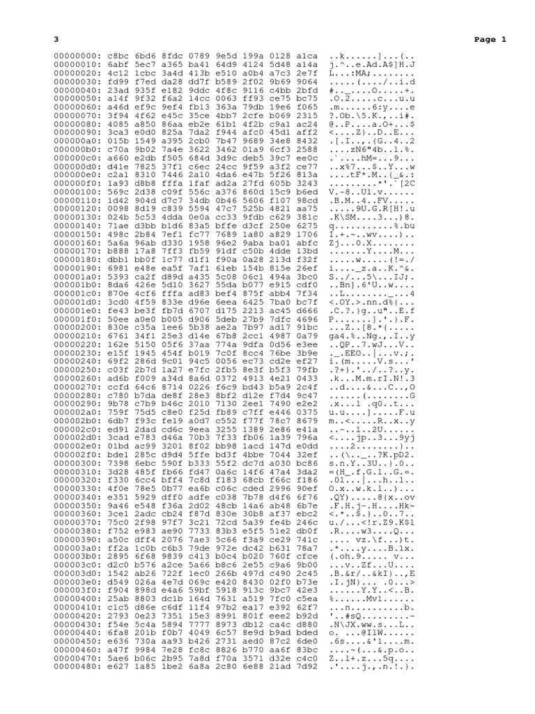 Hexadecimal Data Analysis Output | PDF