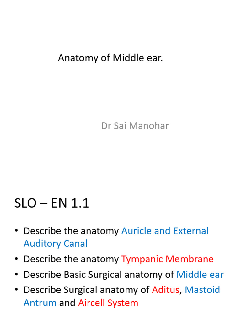 ANATOMY Externa A Middle Ear | PDF | Ear | Otorhinolaryngology