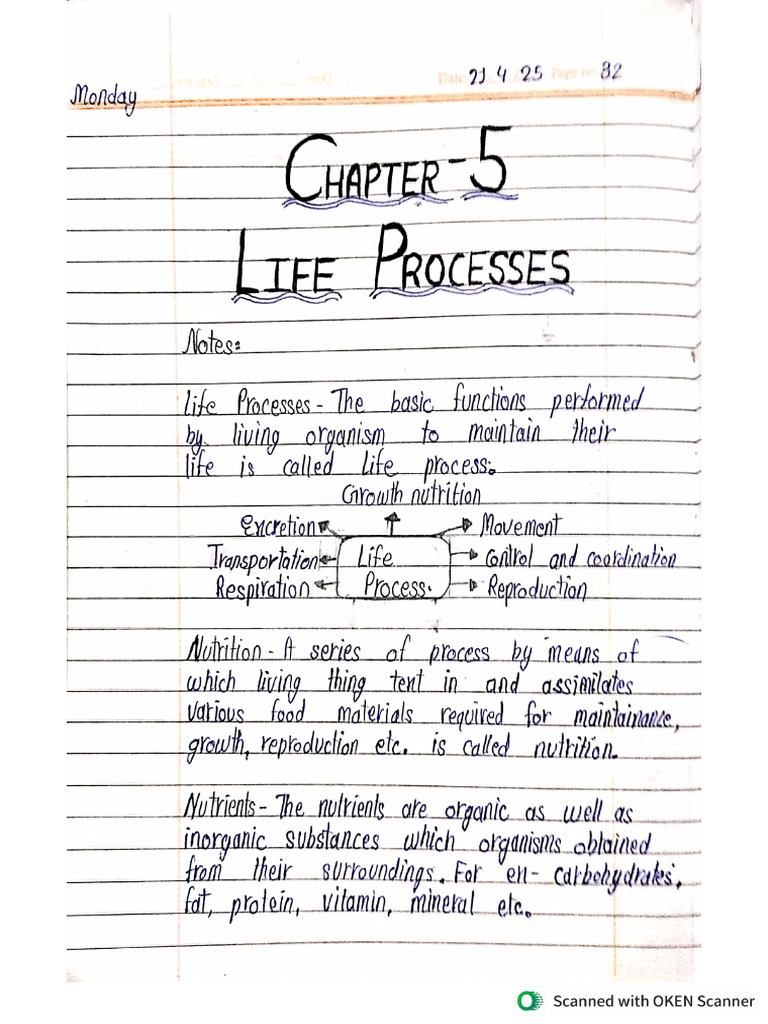 Science CH 2 | PDF