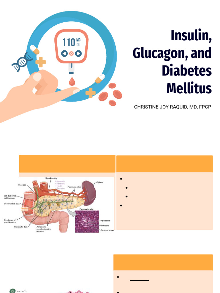Glucagon's Role in Glycogen Breakdown | PDF | Insulin | Glycogen