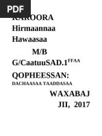 Waraqaa Ragaa | PDF