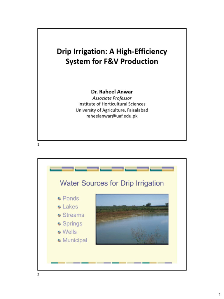 Efficient Drip Irrigation for F&V Production | PDF