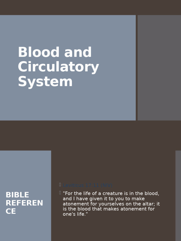 Overview of Blood and Circulatory System | PDF | Blood | Heart