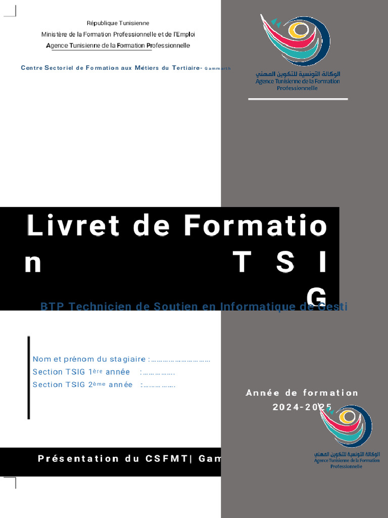 Livret Complet Tsig 1 Et 2 Tsig Fev 2023 Phoenix | PDF