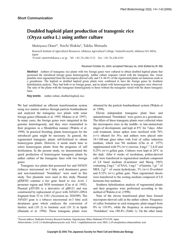 Doubled Haploid Transgenic Rice Production | PDF | Biology | Genetics