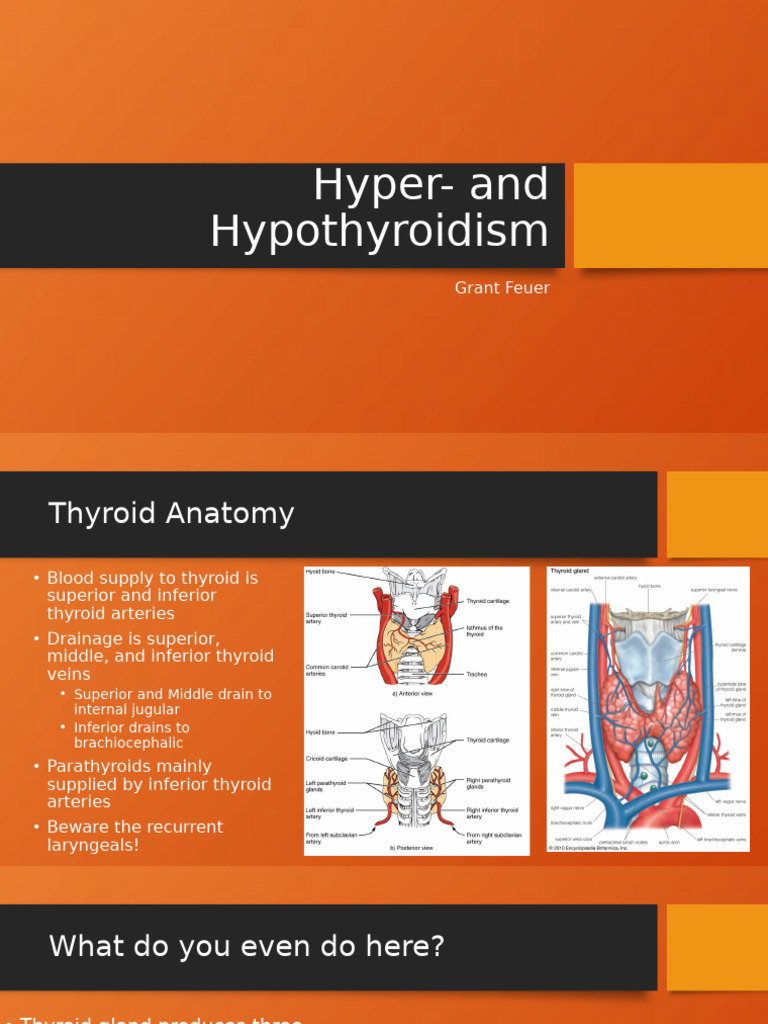 Understanding Hyper- and Hypothyroidism | PDF | Thyroid | Hyperthyroidism