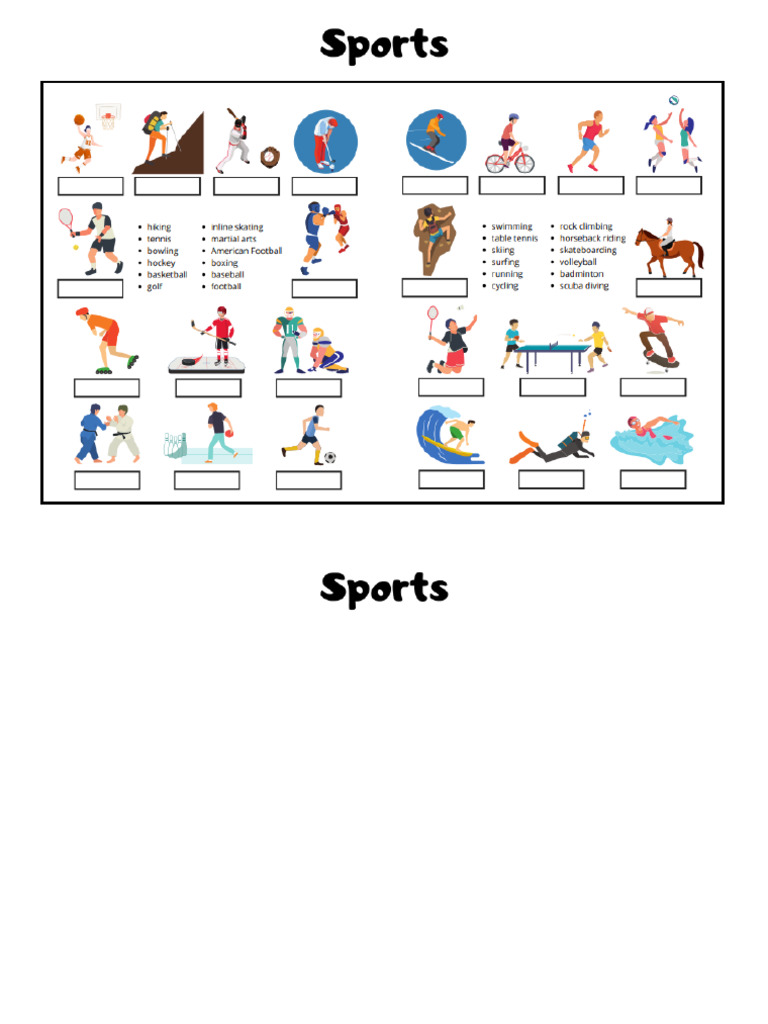 Sports Vocabulary | PDF