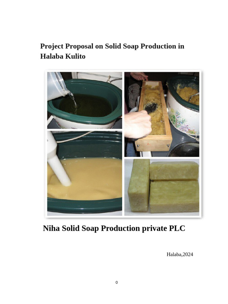Solid Soap Production Proposal in Halaba | PDF | Supply Chain ...