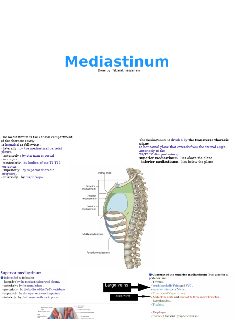 Mediastinum | PDF