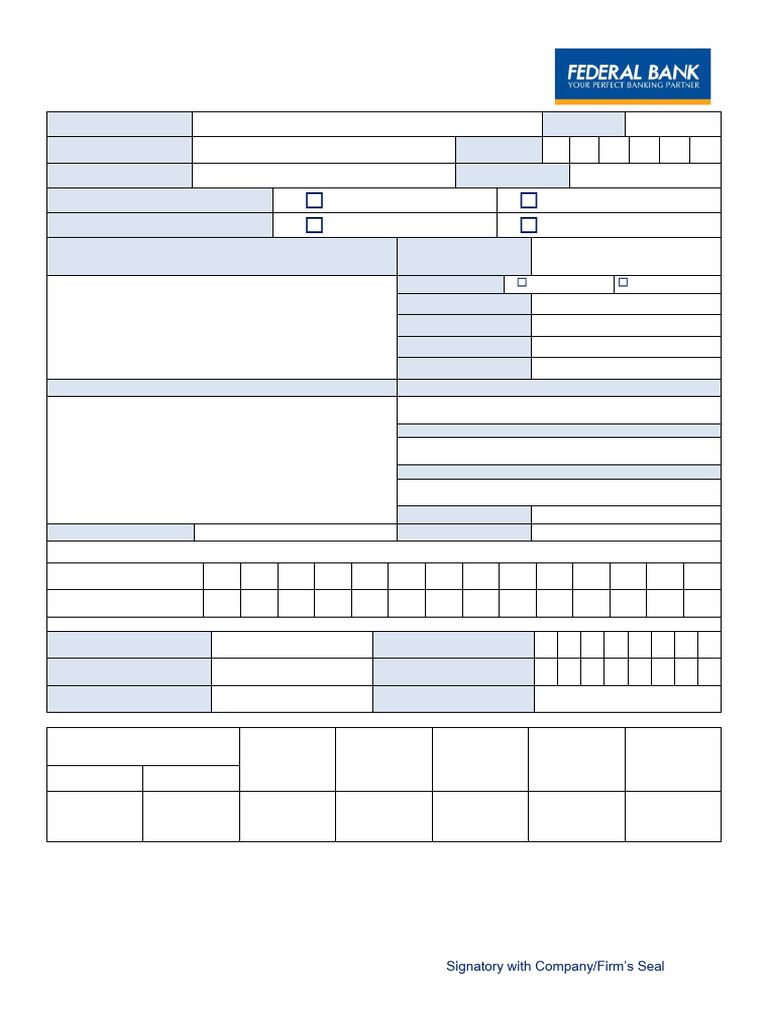Direct Import Payment Application Form | PDF | Banks | Economies