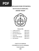 Download Makalah Monografi Rosae by Elya Findawati SN88728536 doc pdf