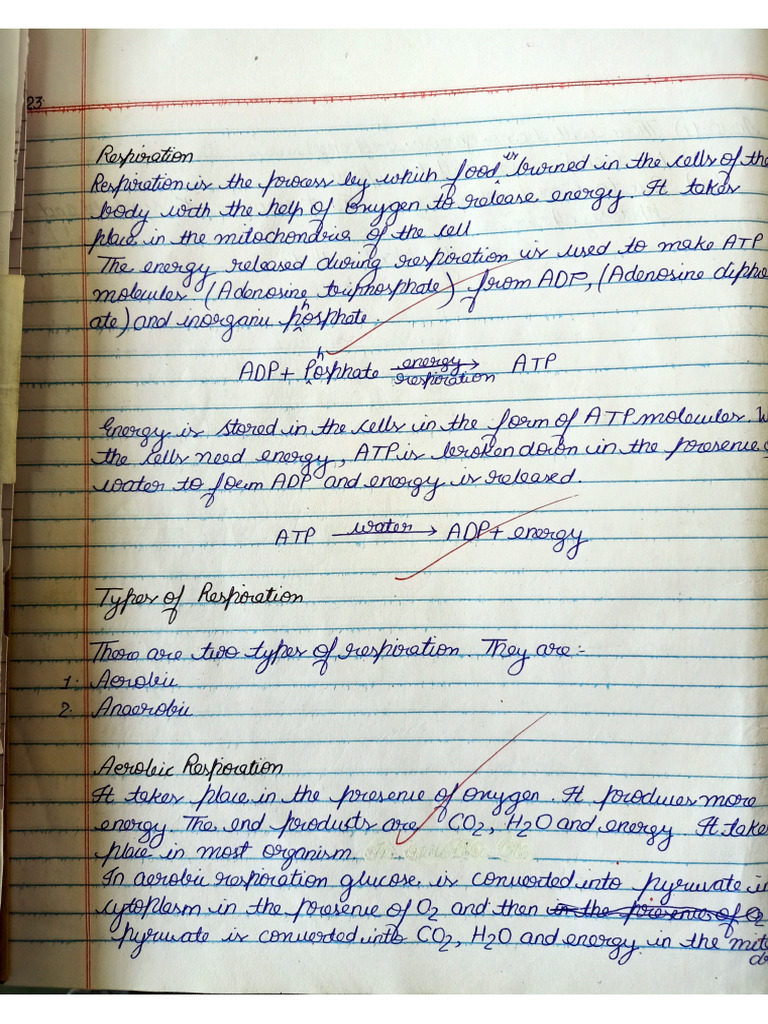 Notes On Life Processes (Respiration, Circulation and Transportation ...