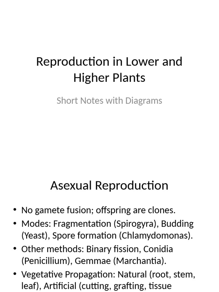 Reproduction in Plants: A Class 7 Guide | PDF