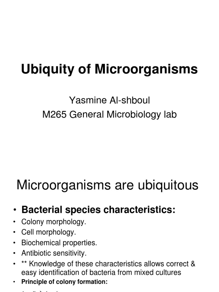 Ubiquity of Bacteria Sterilization (Microbiology)