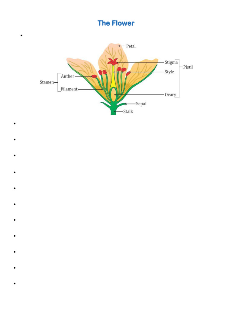 Types and Structures of Flowers | PDF | Petal | Flowers