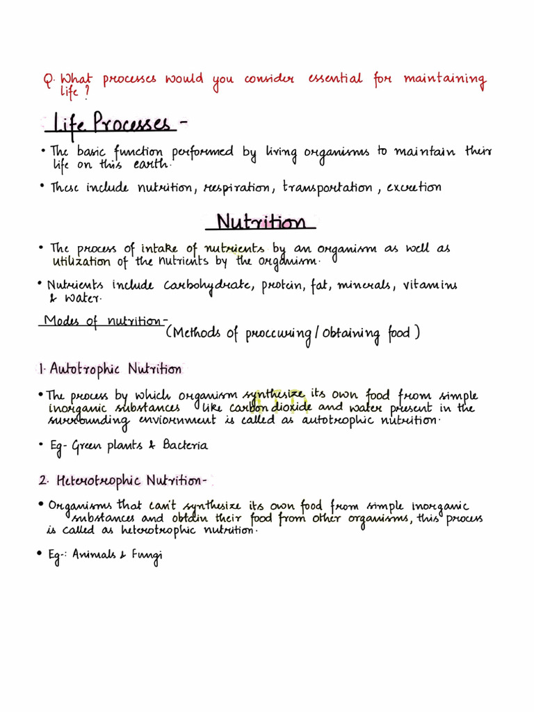 Biology Aid Life Processes Notes | PDF