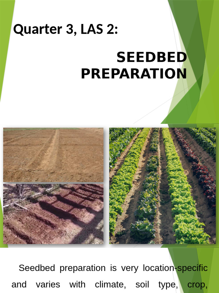 Types of Seedbeds and Preparation Guide | PDF | Soil | Seed