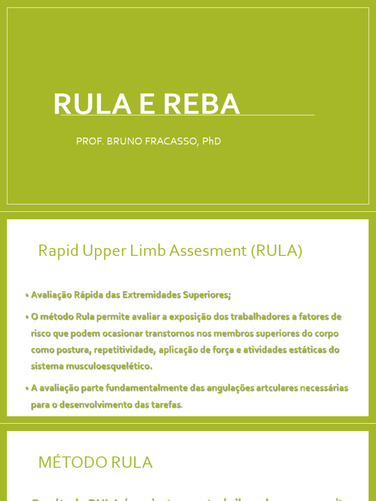 Avaliação RULA e REBA em Ergonomia | PDF