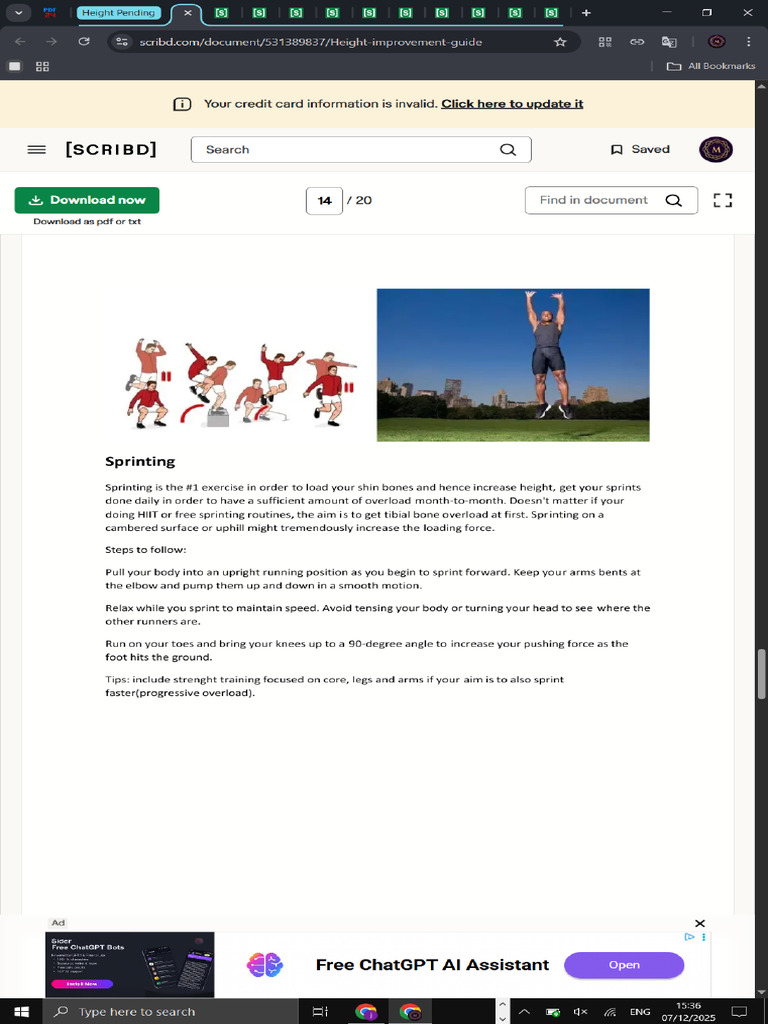 Screenshot | PDF