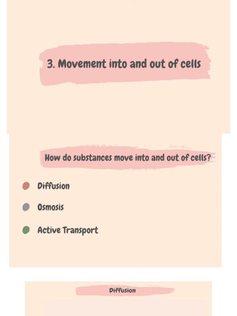 Movement Into and Out of Cells Slides/notes | PDF