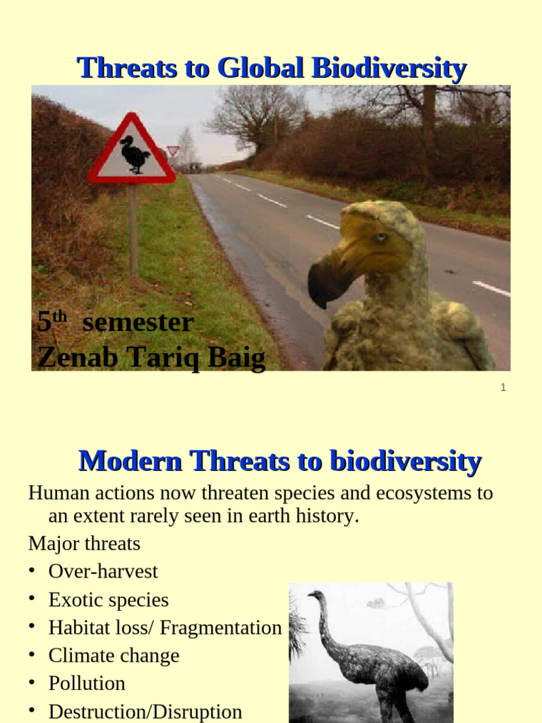 Modern Threats to Global Biodiversity | PDF | Habitat Destruction | Forests