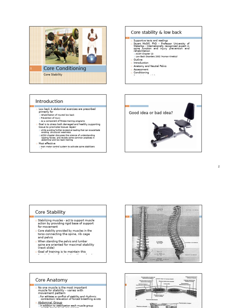 Core Stability and Low Back Rehabilitation | PDF | Anatomical Terms Of ...