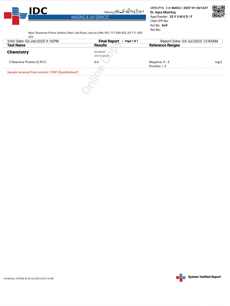Patient Report PDF | PDF