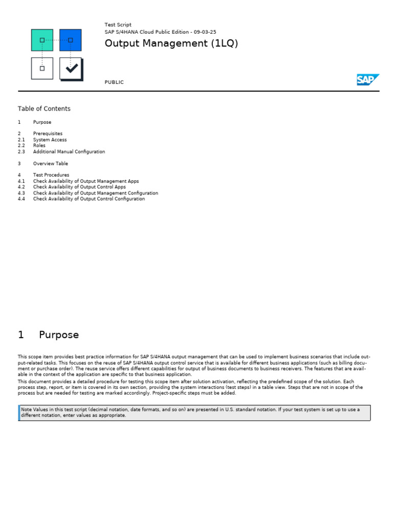 1LQ Output Management Testing Guide | PDF | Scope (Computer Science ...