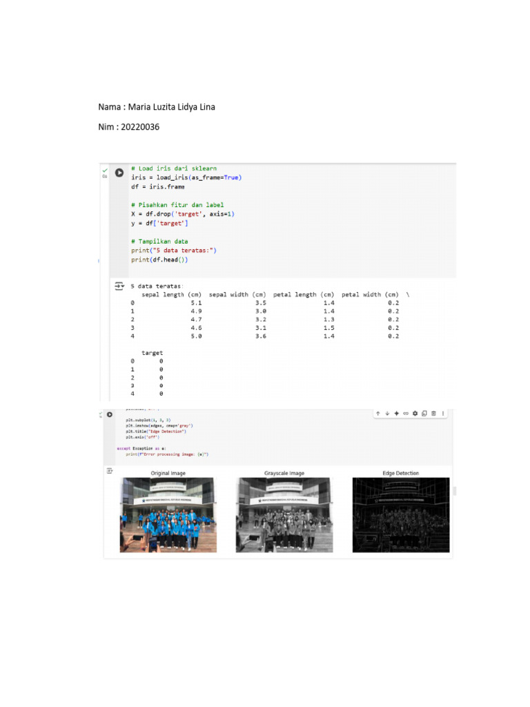Tugas - Teknik Informatika - Membuat Coding Dengan Collab | PDF