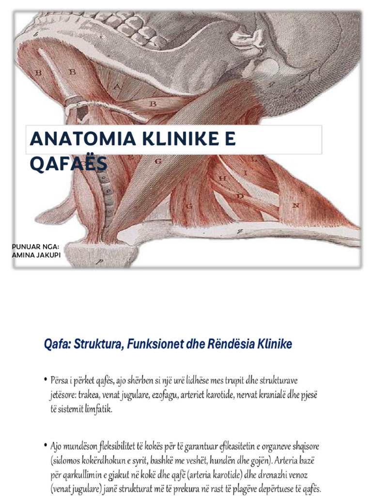 QAFA | PDF