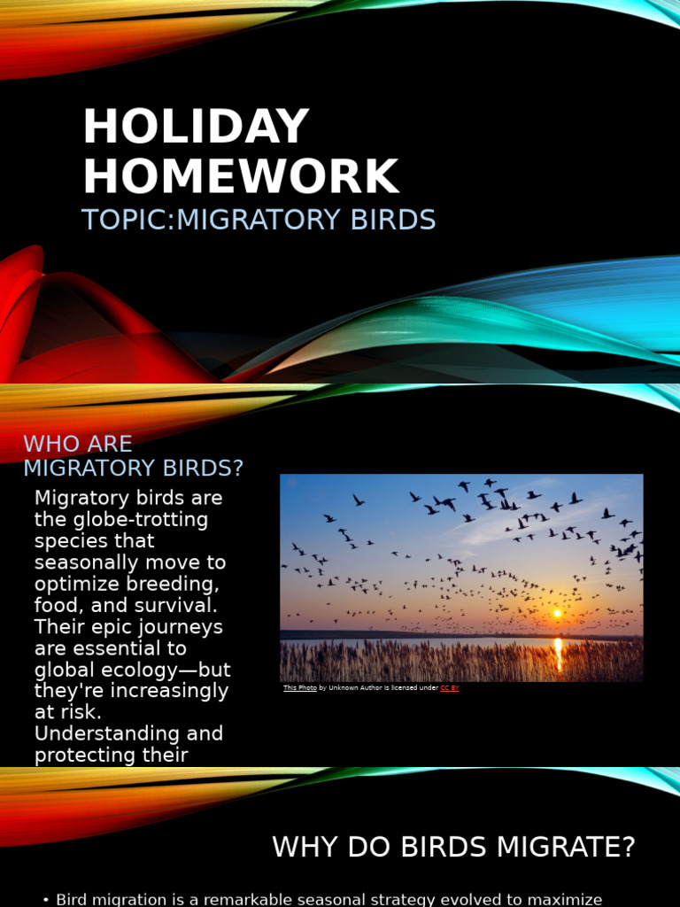 Evs Holiday Homework | PDF | Bird Migration | Birds