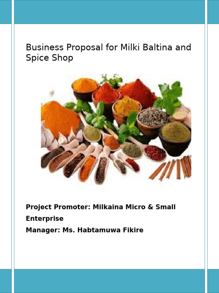 Milki Baltina Business Proposal in Ethiopia | PDF | Expense | Equity ...