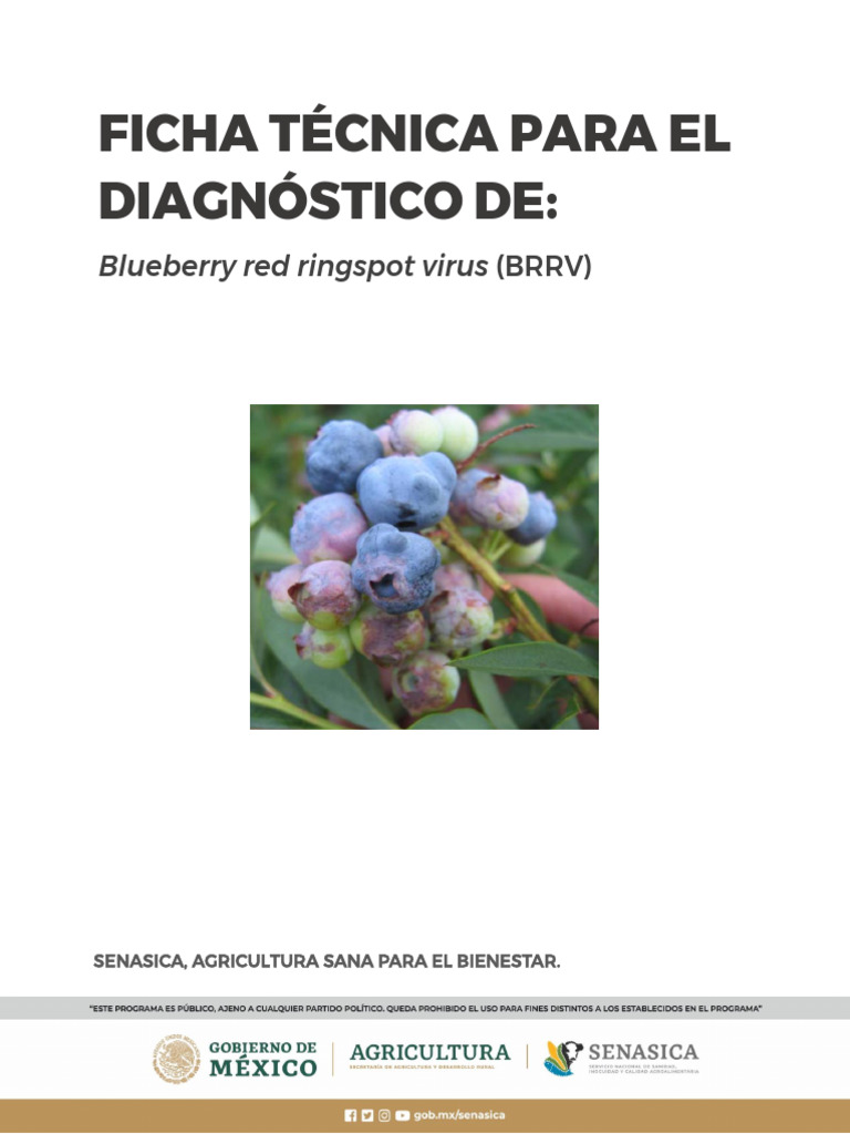Diagnóstico de Blueberry Red Ringspot Virus | PDF | Reacción en cadena ...